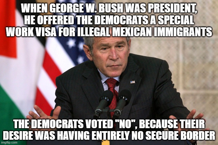 george w bush | WHEN GEORGE W. BUSH WAS PRESIDENT, HE OFFERED THE DEMOCRATS A SPECIAL WORK VISA FOR ILLEGAL MEXICAN IMMIGRANTS THE DEMOCRATS VOTED "NO", BEC | image tagged in george w bush | made w/ Imgflip meme maker
