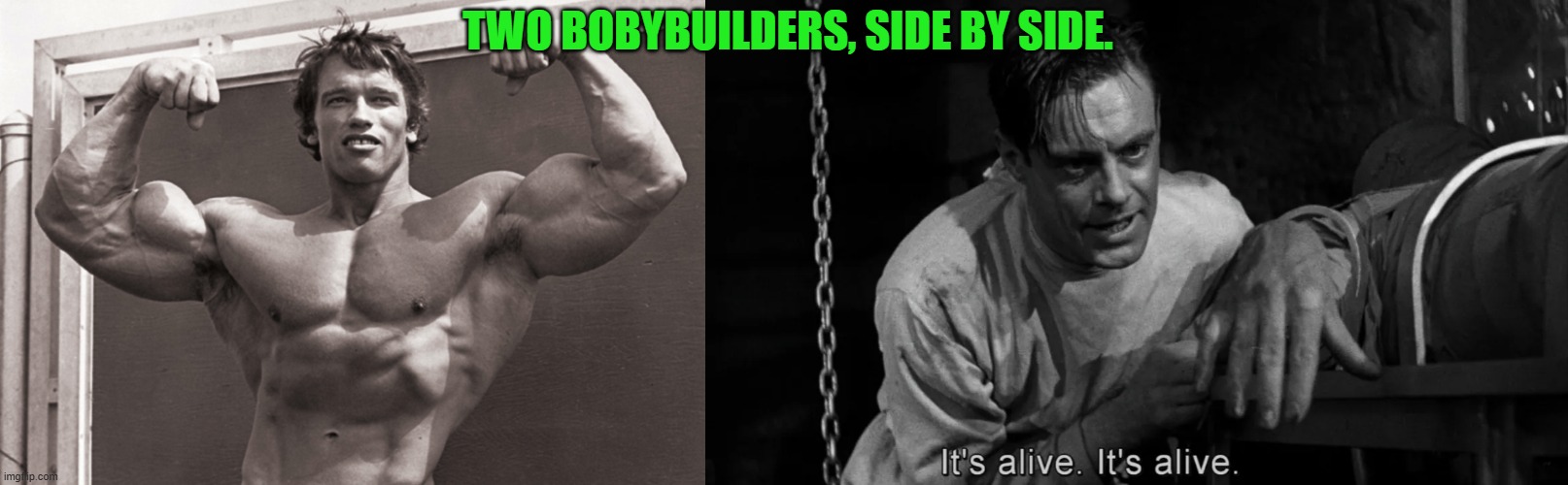 Two bodybuilders | TWO BOBYBUILDERS, SIDE BY SIDE. | image tagged in arnold schwarzenegger,bodybuilder,bodybuilding,colin clive,frankenstein | made w/ Imgflip meme maker