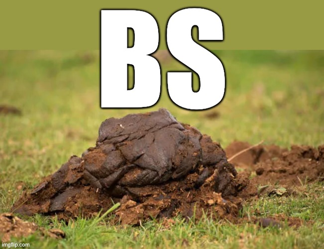 BS | BS | image tagged in bullshit | made w/ Imgflip meme maker