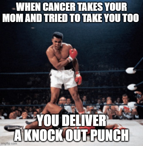 Knocking out Cancer | WHEN CANCER TAKES YOUR MOM AND TRIED TO TAKE YOU TOO; YOU DELIVER A KNOCK OUT PUNCH | image tagged in cancer,knockout | made w/ Imgflip meme maker