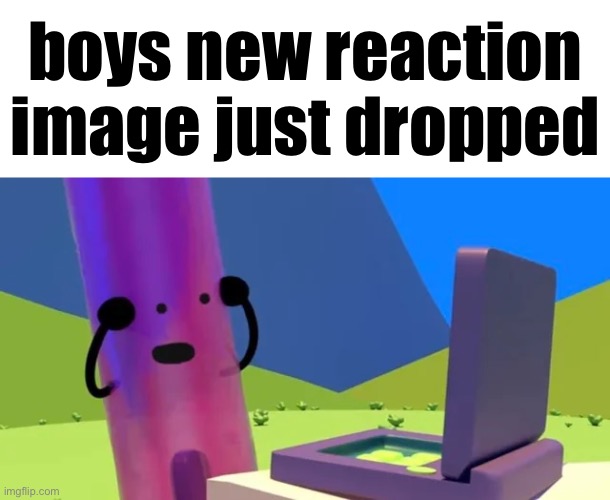 show is called 3ds. | boys new reaction image just dropped | image tagged in object shows,memes,reaction | made w/ Imgflip meme maker