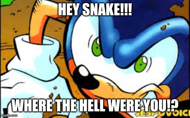 LIMIT!? | HEY SNAKE!!! WHERE THE HELL WERE YOU!? | image tagged in limit | made w/ Imgflip meme maker