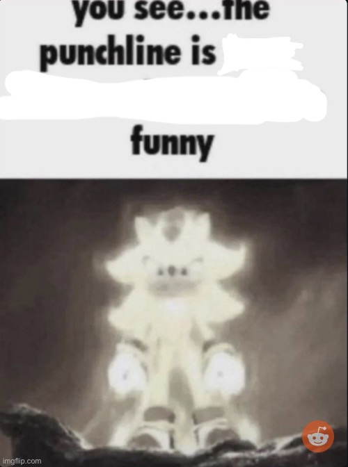 Shadow Explains The Joke | image tagged in shadow explains the joke | made w/ Imgflip meme maker