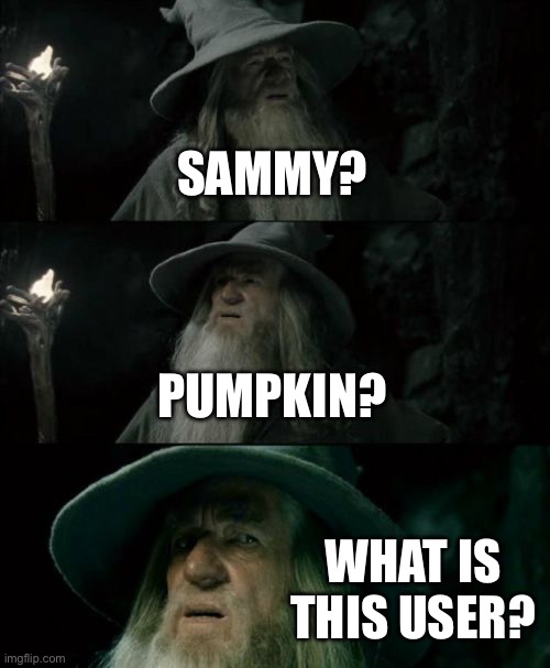 For Sammy | SAMMY? PUMPKIN? WHAT IS THIS USER? | image tagged in memes,confused gandalf | made w/ Imgflip meme maker