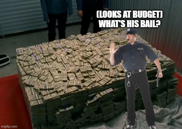 (LOOKS AT BUDGET) WHAT'S HIS BAIL? | image tagged in breaking bad money | made w/ Imgflip meme maker