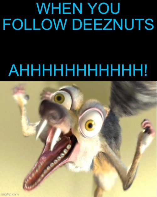 Following Deeznuts | WHEN YOU FOLLOW DEEZNUTS; AHHHHHHHHHHH! | image tagged in overreacting squirrel,deez nuts,follow,followers | made w/ Imgflip meme maker
