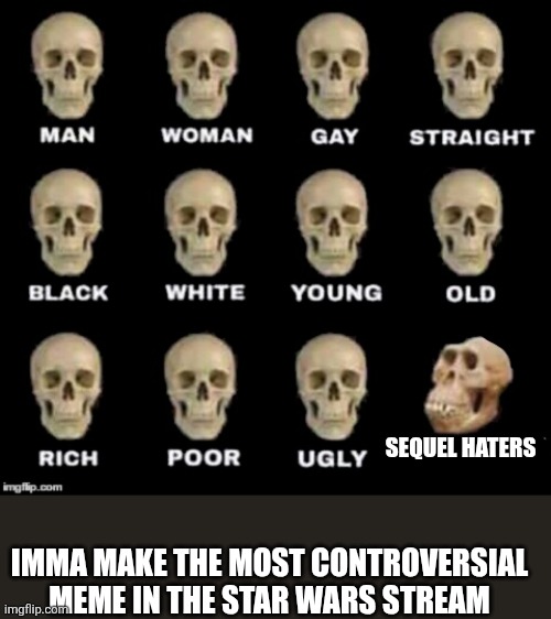 idiot skull | SEQUEL HATERS; IMMA MAKE THE MOST CONTROVERSIAL MEME IN THE STAR WARS STREAM | image tagged in idiot skull | made w/ Imgflip meme maker