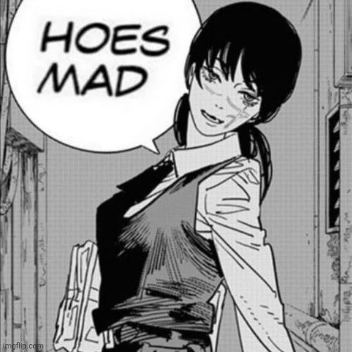 Owners mad at me so I might sleep good night, hope my account isn't deleted lmao | image tagged in hoes mad | made w/ Imgflip meme maker