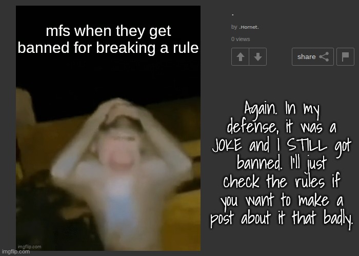 Whether it's a joke or not, IMO, it's not fun to add fuel to the fire when some people get banned. | Again. In my defense, it was a JOKE and I STILL got banned. I'll just check the rules if you want to make a post about it that badly. | made w/ Imgflip meme maker
