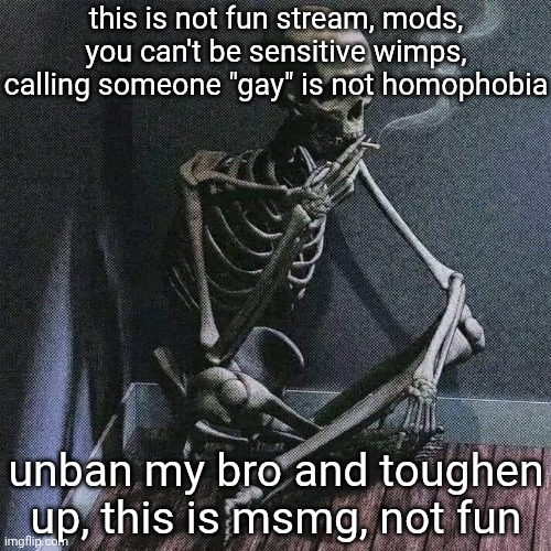 toughen up ya dumb mods, don't stoop down to fun streams level | this is not fun stream, mods, you can't be sensitive wimps, calling someone "gay" is not homophobia; unban my bro and toughen up, this is msmg, not fun | image tagged in skeleton smoke | made w/ Imgflip meme maker