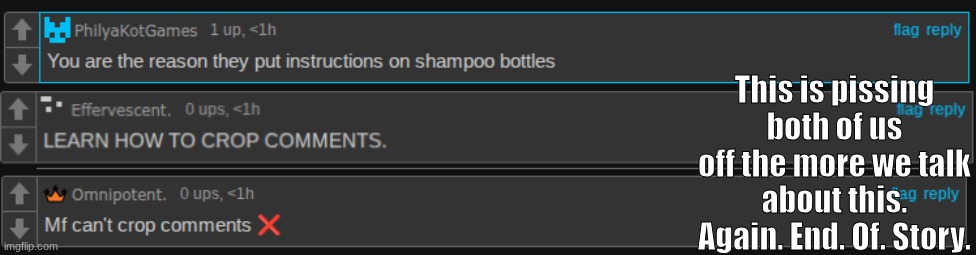 I DON'T KNOW HOW TO CROP FUCKING COMMENTS. DAMN! | This is pissing both of us off the more we talk about this. Again. End. Of. Story. | made w/ Imgflip meme maker