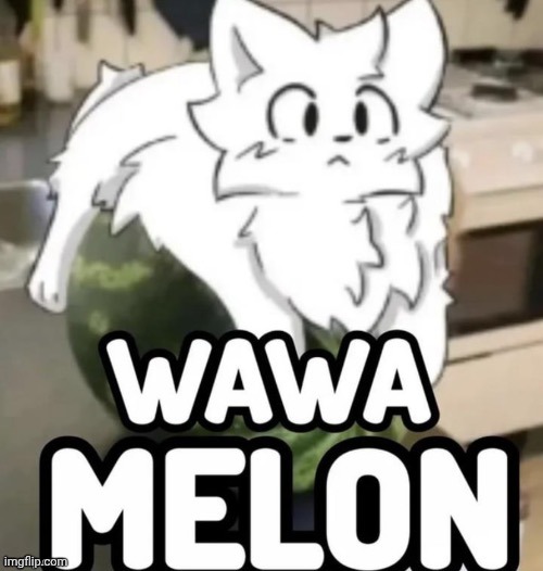 The Wawa Melon | image tagged in the wawa melon | made w/ Imgflip meme maker