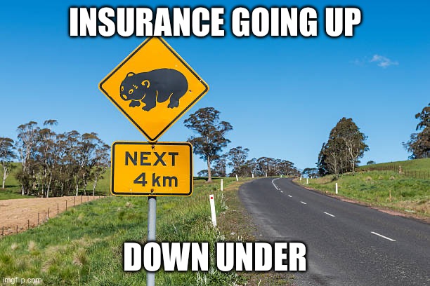 Insurance costs | INSURANCE GOING UP; DOWN UNDER | image tagged in wombat,driving,speed bump,crash,car crash | made w/ Imgflip meme maker