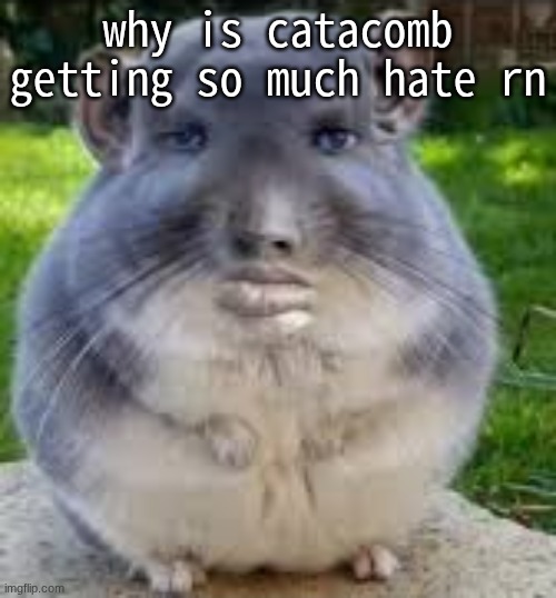 bruh | why is catacomb getting so much hate rn | made w/ Imgflip meme maker