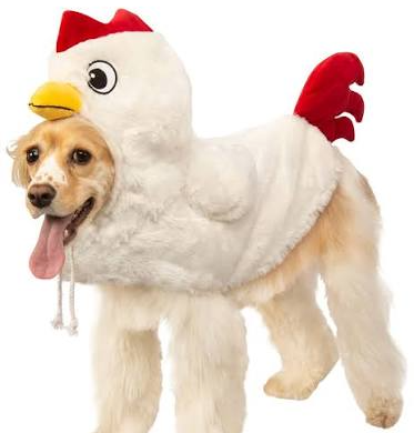 I see your blouend colors 1987 Blank Meme Template