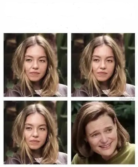 Sydney Sweeney Interview 4 Up Blank Meme Template