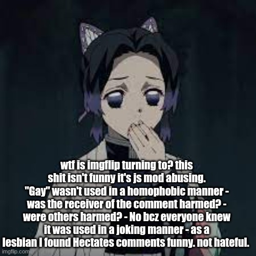 wait u have a point | wtf is imgflip turning to? this shit isn't funny it's js mod abusing. "Gay" wasn't used in a homophobic manner - was the receiver of the comment harmed? - were others harmed? - No bcz everyone knew it was used in a joking manner - as a lesbian I found Hectates comments funny. not hateful. | image tagged in wait u have a point | made w/ Imgflip meme maker
