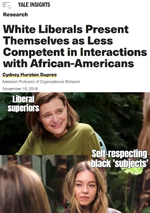 Wasn't always the case. It goes for any minority group and it's cringy af | image tagged in stares and superiority,liberals,race,woke | made w/ Imgflip meme maker