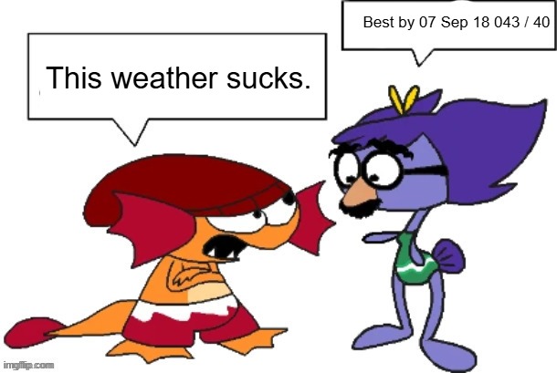 You're an idiot but both bubbles are blank | Best by 07 Sep 18 043 / 40; This weather sucks. | image tagged in you're an idiot but both bubbles are blank | made w/ Imgflip meme maker