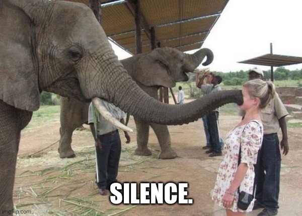 Elephant Silences You (Meme) | SILENCE. | image tagged in elephant sucking face | made w/ Imgflip meme maker