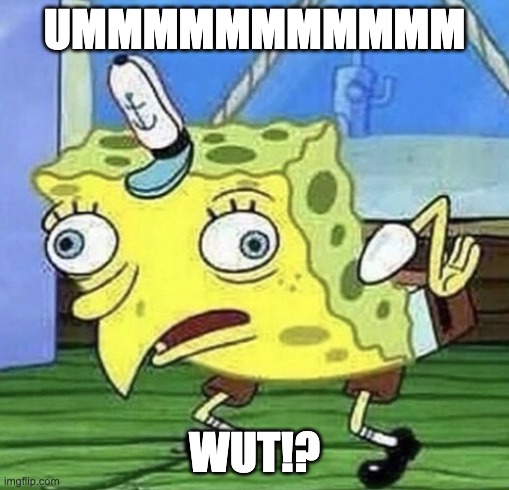 Spongebob chicken  | UMMMMMMMMMMM; WUT!? | image tagged in spongebob chicken | made w/ Imgflip meme maker