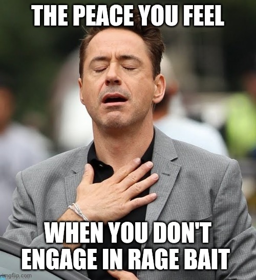 Anti rage bait | THE PEACE YOU FEEL; WHEN YOU DON'T ENGAGE IN RAGE BAIT | image tagged in relief robert downey jr | made w/ Imgflip meme maker