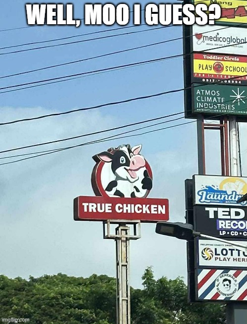 True Chicken? | WELL, MOO I GUESS? | image tagged in you had one job | made w/ Imgflip meme maker