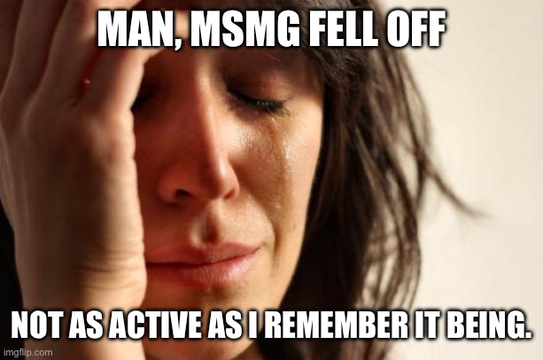 also who left in my absence | MAN, MSMG FELL OFF; NOT AS ACTIVE AS I REMEMBER IT BEING. | image tagged in memes,first world problems | made w/ Imgflip meme maker