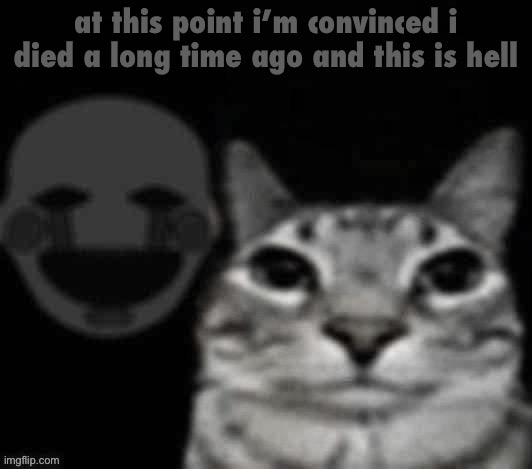 puppet behind cat | at this point i’m convinced i died a long time ago and this is hell | image tagged in puppet behind cat | made w/ Imgflip meme maker