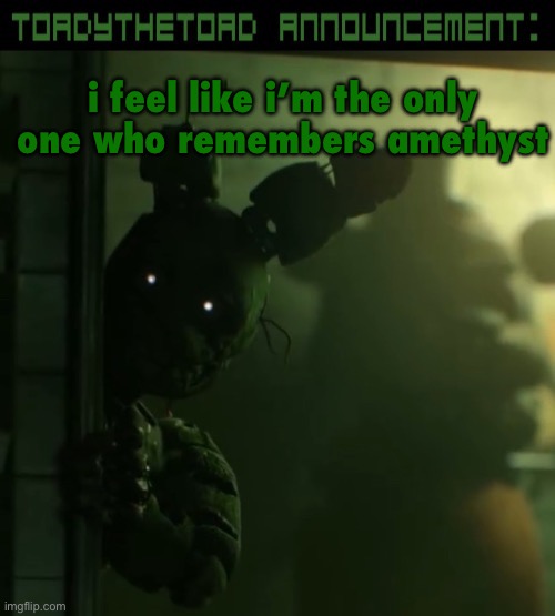 toady announcement template | i feel like i’m the only one who remembers amethyst | image tagged in toady announcement template | made w/ Imgflip meme maker