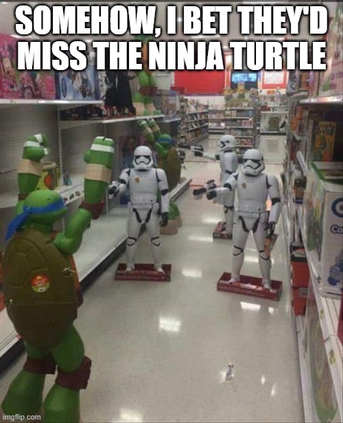 No Shot | SOMEHOW, I BET THEY'D MISS THE NINJA TURTLE | image tagged in star wars,storm trooper,teenage mutant ninja turtles | made w/ Imgflip meme maker
