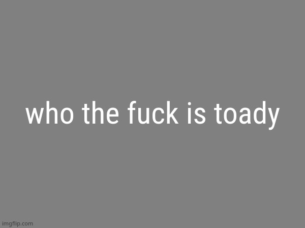 the avaritia image | who the fuck is toady | image tagged in the avaritia image | made w/ Imgflip meme maker