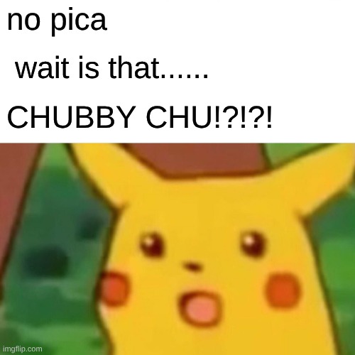 Surprised Pikachu Meme | no pica wait is that...... CHUBBY CHU!?!?! | image tagged in memes,surprised pikachu | made w/ Imgflip meme maker