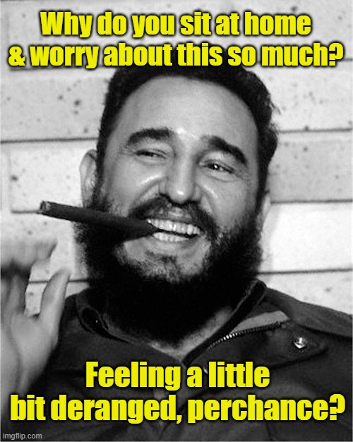 Fidel Castro | Why do you sit at home & worry about this so much? Feeling a little bit deranged, perchance? | image tagged in fidel castro | made w/ Imgflip meme maker