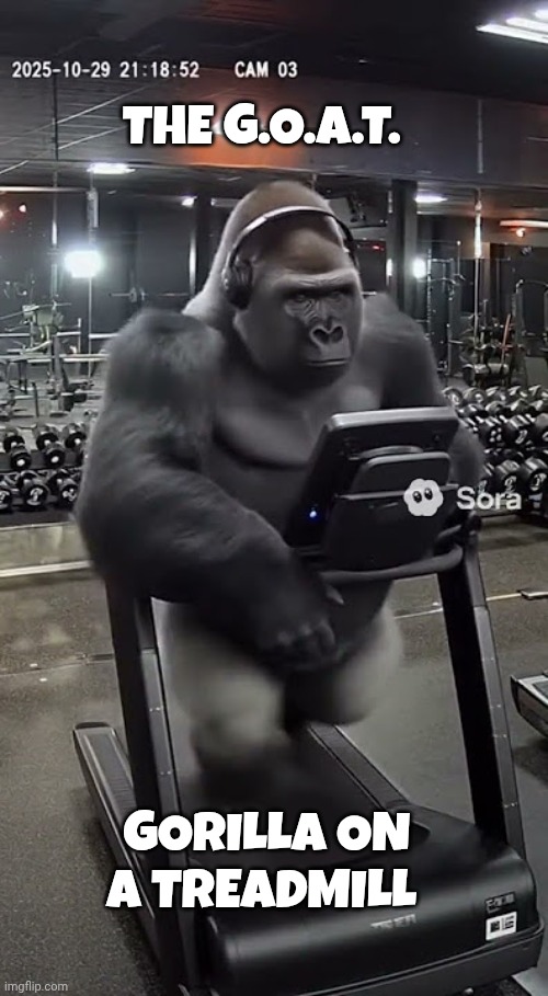 G.O.A.T. meme | THE G.O.A.T. GORILLA ON A TREADMILL | image tagged in gorilla | made w/ Imgflip meme maker