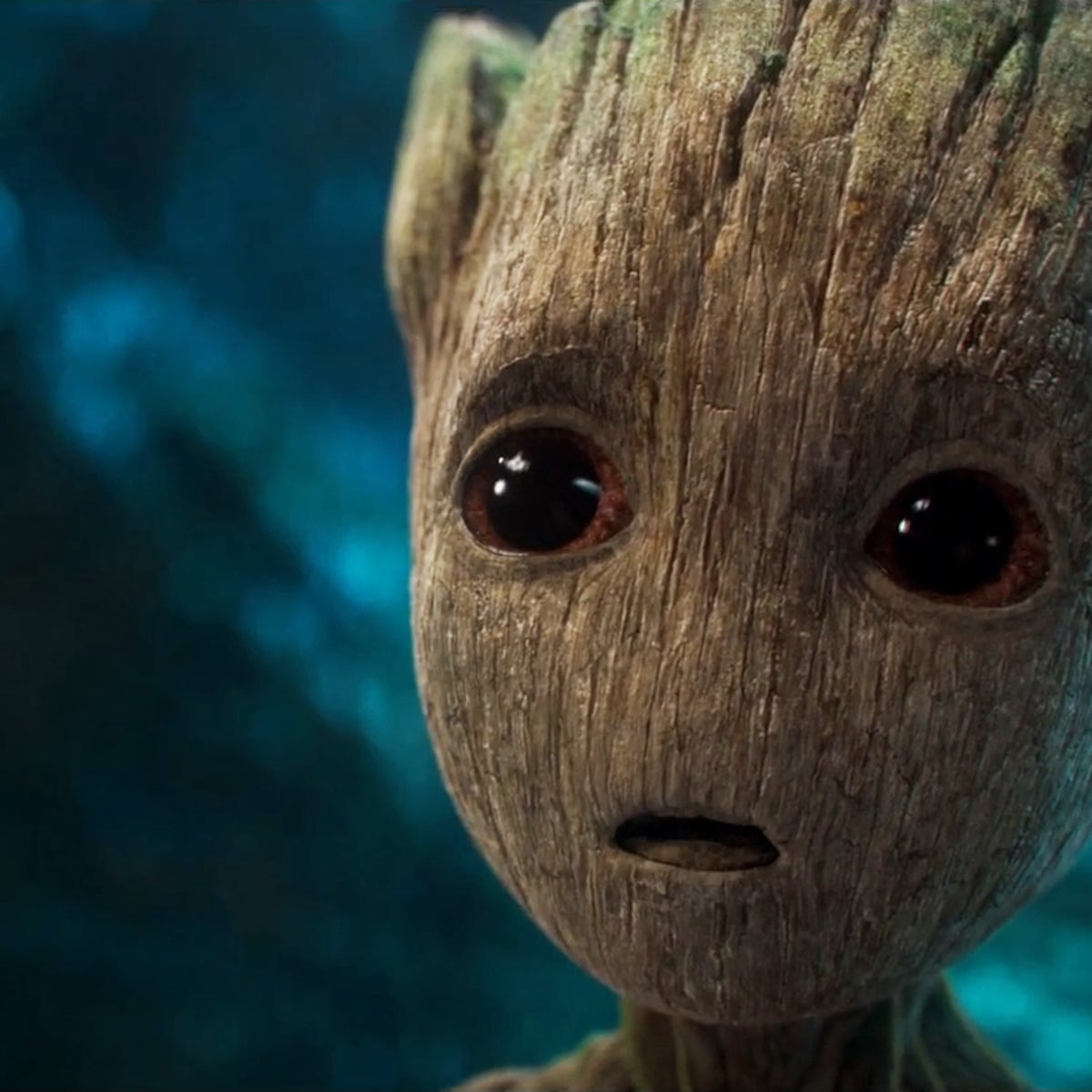 WEMZ? STILL DIPIN BUNT HOLE? Blank Meme Template