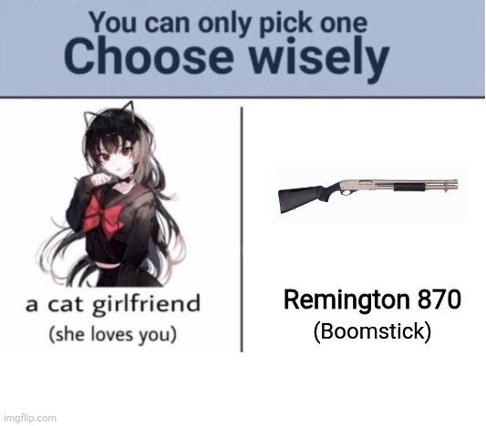 Choose wisely | Remington 870; (Boomstick) | image tagged in choose wisely | made w/ Imgflip meme maker