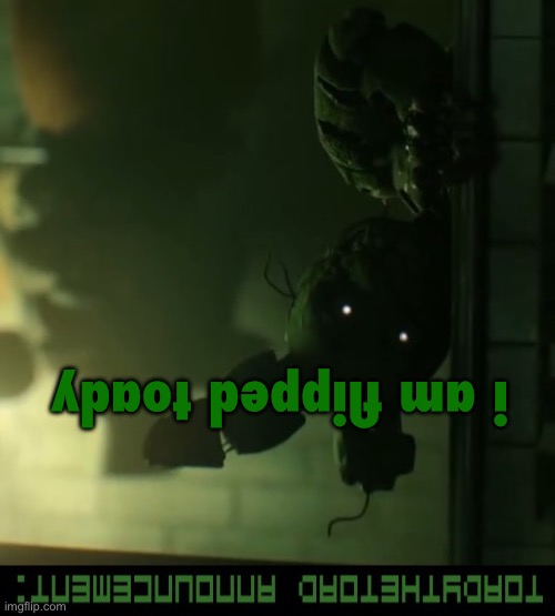 toady announcement template | i am flipped toady | image tagged in toady announcement template | made w/ Imgflip meme maker