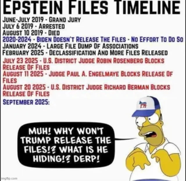 Epstein Files Timeline | image tagged in timelines are hard for trump haters,epstein files | made w/ Imgflip meme maker