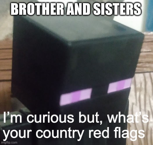 Enderman stare | BROTHER AND SISTERS; I’m curious but, what’s your country red flags | image tagged in enderman stare | made w/ Imgflip meme maker