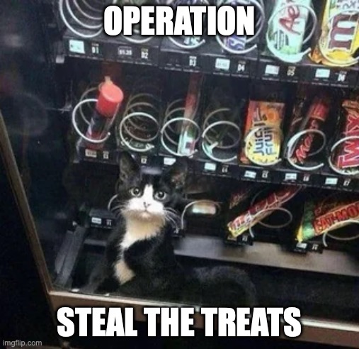 Steal the treats | OPERATION; STEAL THE TREATS | image tagged in cat | made w/ Imgflip meme maker