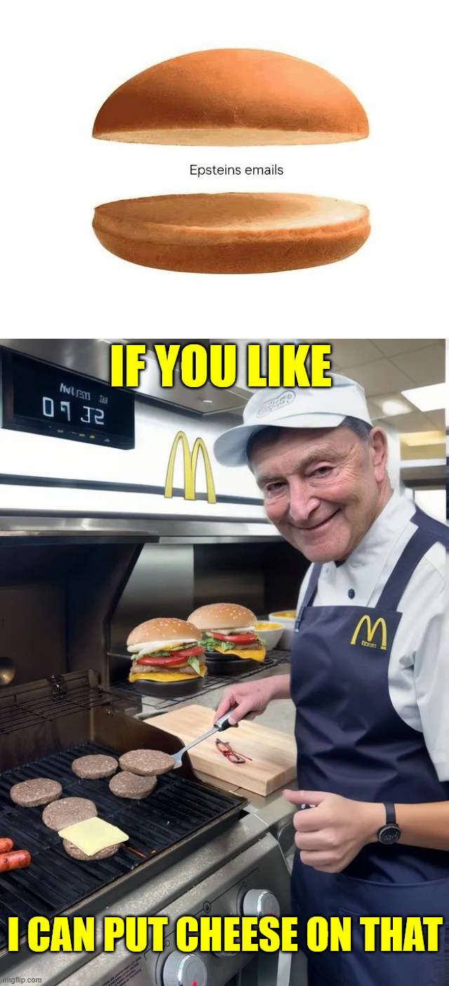 You want cheese on your nothingburger? | IF YOU LIKE; I CAN PUT CHEESE ON THAT | image tagged in epstein emails,you want cheese on your nothingburger | made w/ Imgflip meme maker
