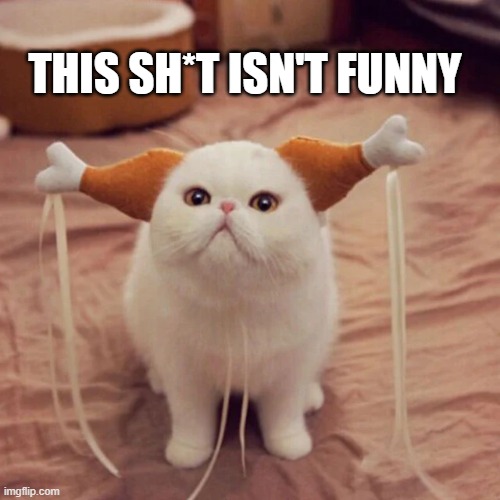 Cat thinks Thanksgiving costume is stupid.   ---   funny   --- | THIS SH*T ISN'T FUNNY | image tagged in cat,kittens,funny,humor,thanksgiving,costume | made w/ Imgflip meme maker