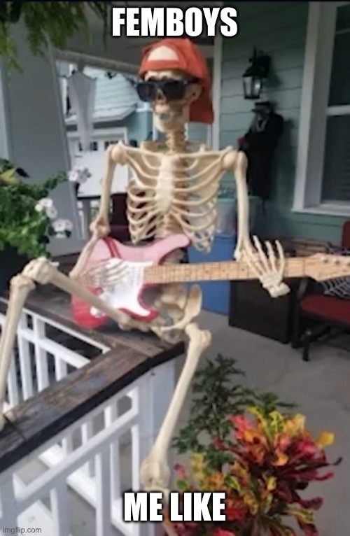 Femboys ? | FEMBOYS; ME LIKE | made w/ Imgflip meme maker