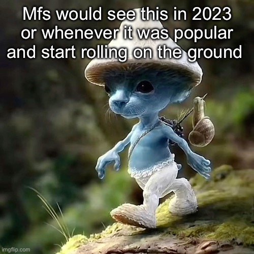 I BE POPPIN BOTTLES | Mfs would see this in 2023 or whenever it was popular and start rolling on the ground | image tagged in i be poppin bottles | made w/ Imgflip meme maker