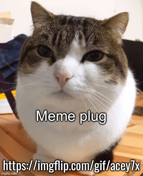 Meme plug | Meme plug; https://imgflip.com/gif/acey7x | image tagged in oh the misery original | made w/ Imgflip meme maker