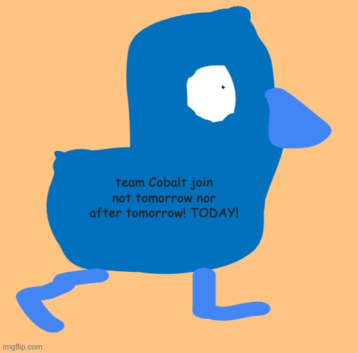 TEAM COBALT | team Cobalt join not tomorrow nor after tomorrow! TODAY! | image tagged in memes | made w/ Imgflip meme maker