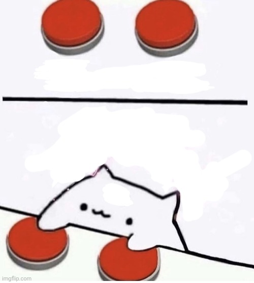 Cat pressing two buttons | image tagged in cat pressing two buttons | made w/ Imgflip meme maker
