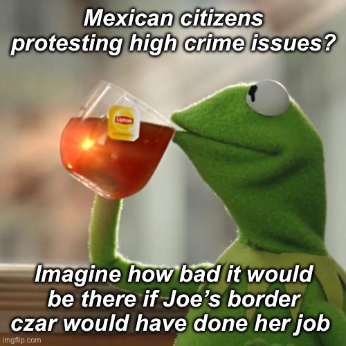 It could be worse over there | Mexican citizens protesting high crime issues? Imagine how bad it would be there if Joe’s border czar would have done her job | image tagged in memes,but that's none of my business,kermit the frog,politics lol,government corruption | made w/ Imgflip meme maker