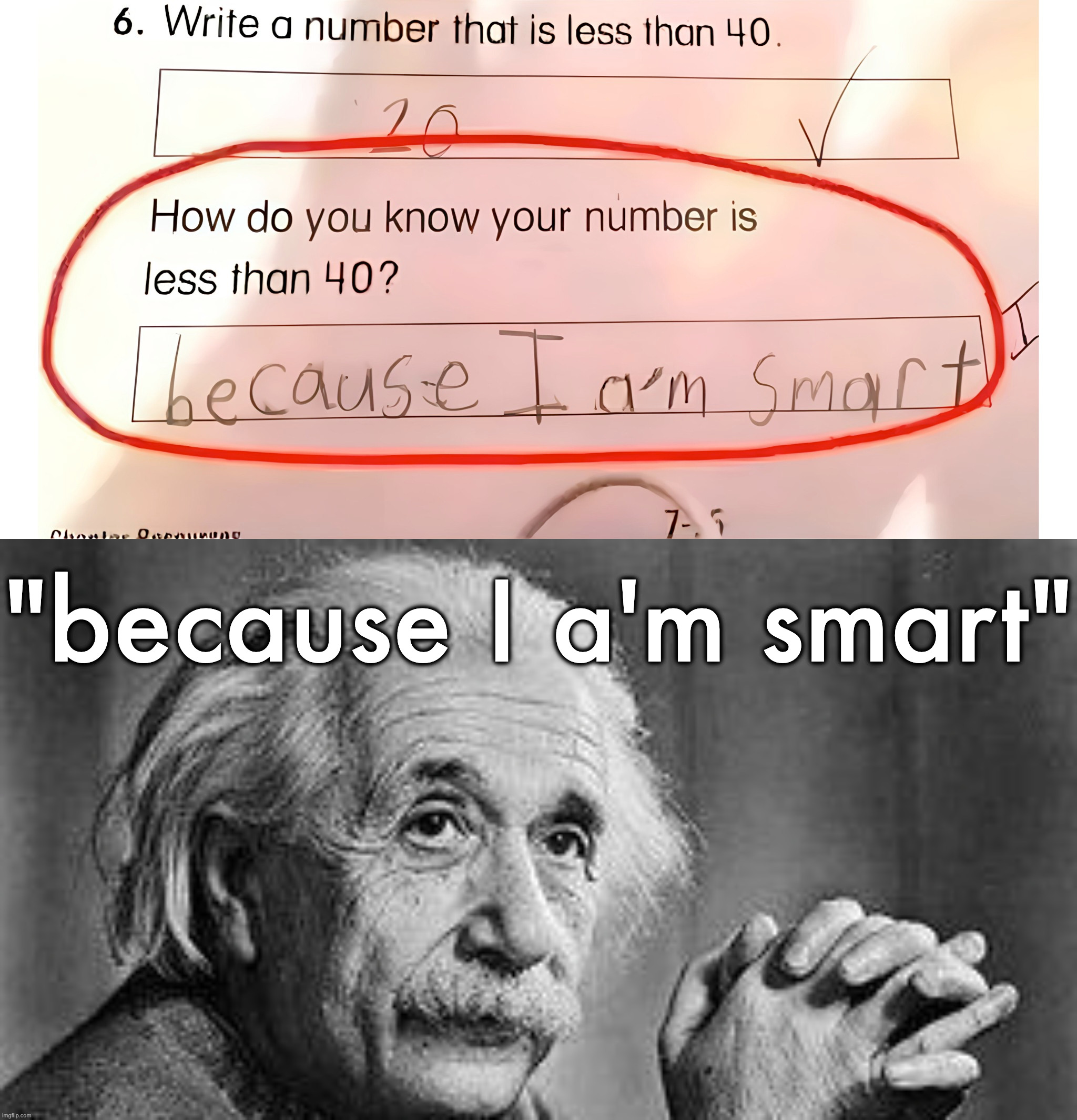 "because I a'm smart" | image tagged in albert einstein | made w/ Imgflip meme maker